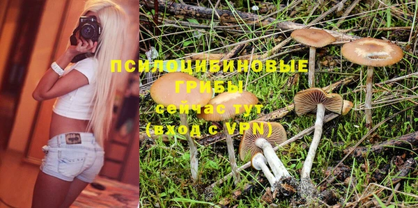 бошки Аркадак