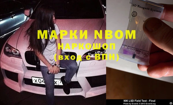 шишки Балабаново