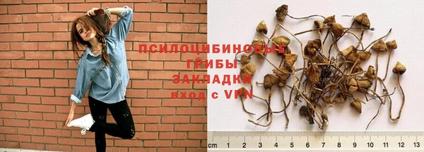 шишки Балабаново