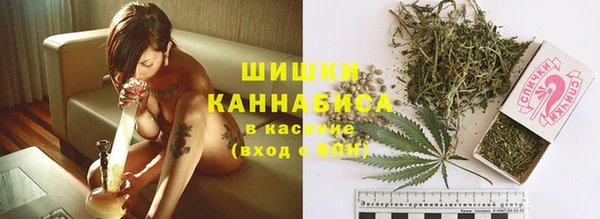 шишки Балабаново