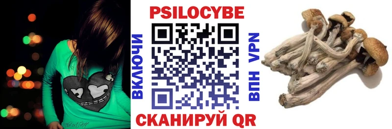 Псилоцибиновые грибы MAGIC MUSHROOMS  Ахтырский 